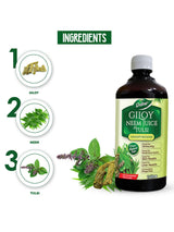 Dabur Giloy Neem Tulsi Juice – Immunity Booster (1 Litre)