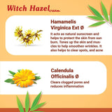Medisynth Witch Hazel Cream – Homeopathic Skin Relief (2x)