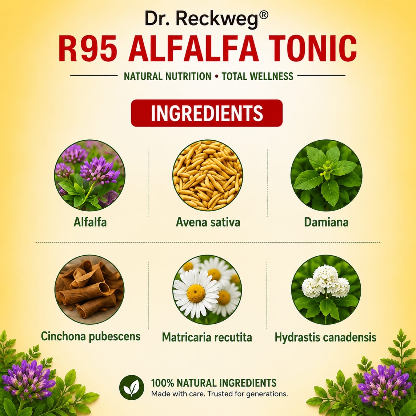 Dr. Reckeweg R95 Alfalfa Tonic Homeopathic Health Supplement 250ml