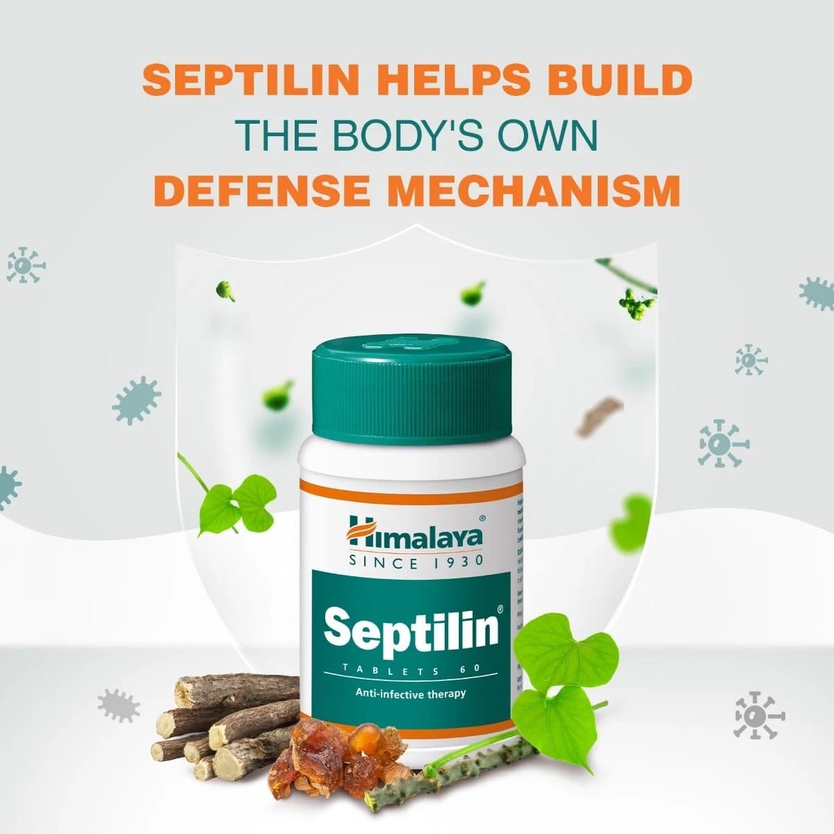 Himalaya Septilin Tablets 60 for Daily Immune System Support