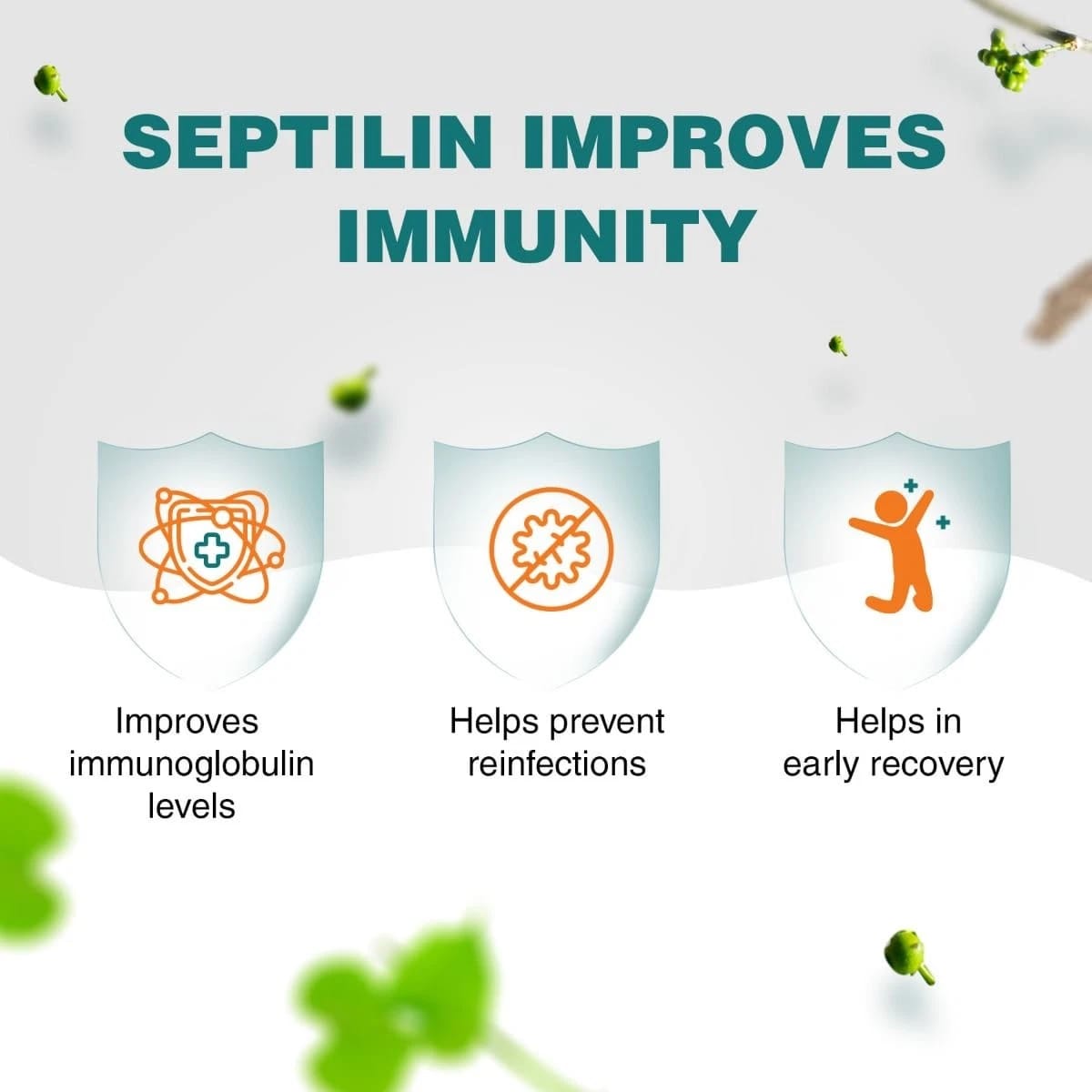 Himalaya Septilin Tablets 60 for Daily Immune System Support