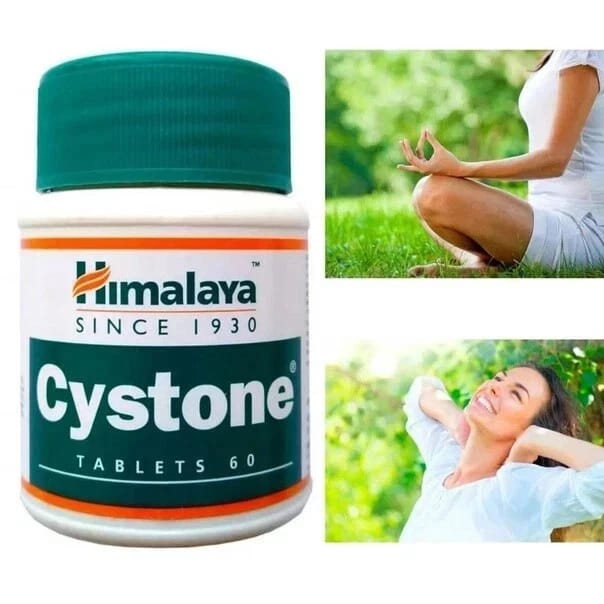 Himalaya Cystone Herbal Supplement 100 Tablets in each | Pack of 10 Wellness