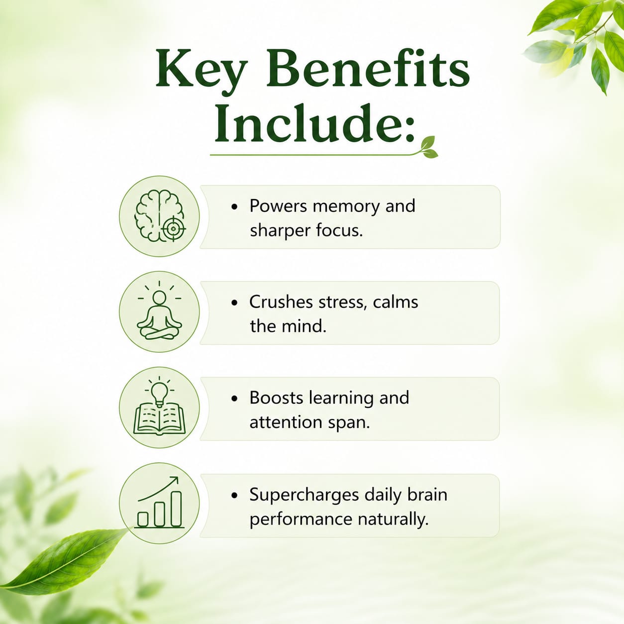 Himalaya Mentat Herbal Brain & Memory Support Tablets 60 Count