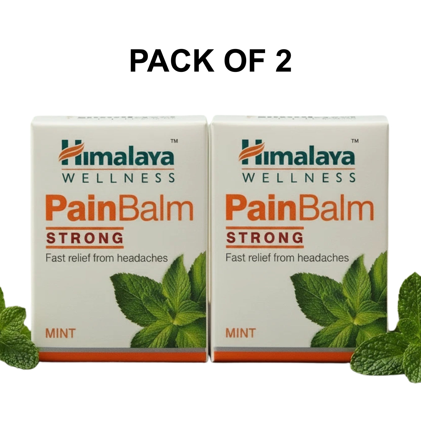 Himalaya Pain Balm Strong Mint for Headache & Muscle Relief 10g