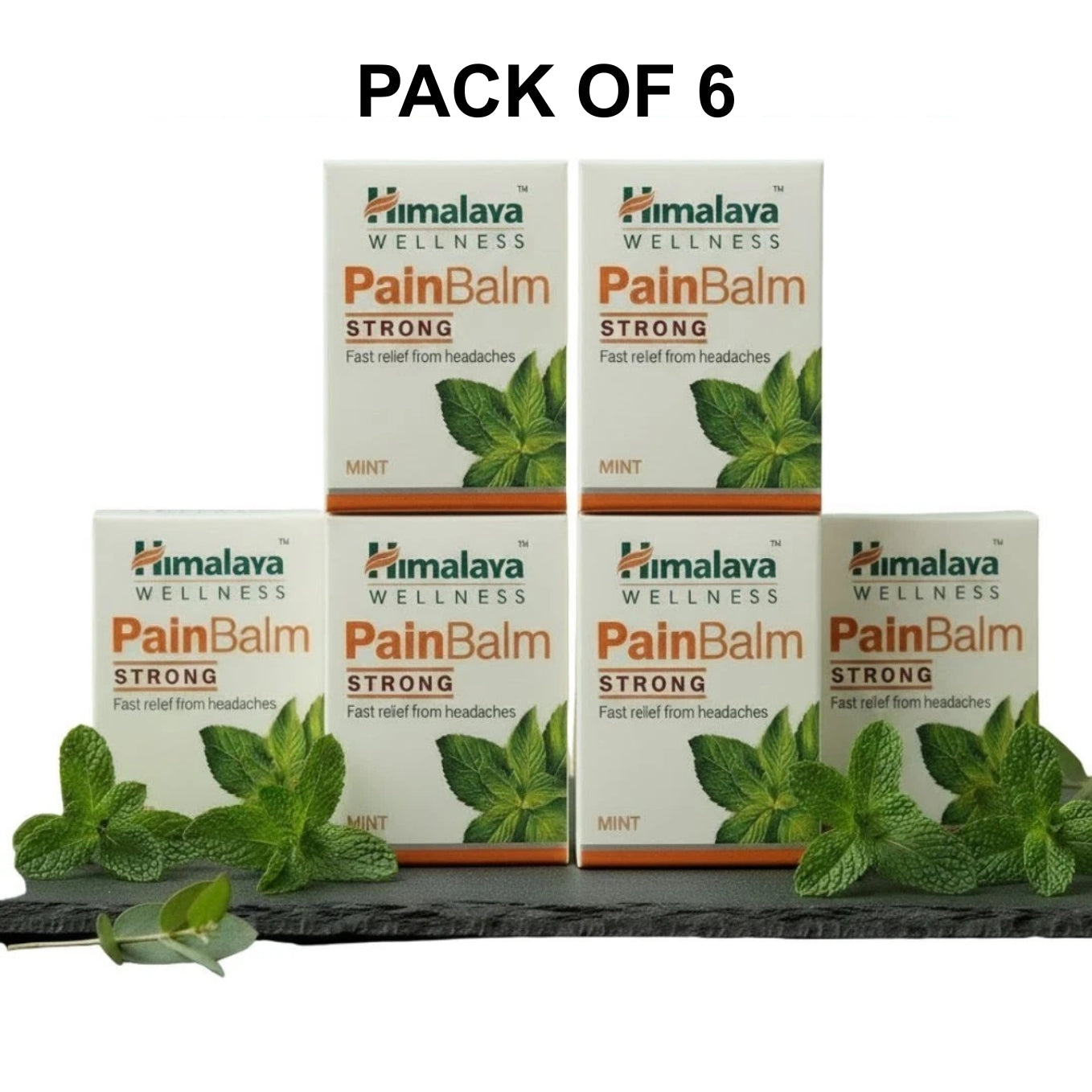 Himalaya Pain Balm Strong Mint for Headache & Muscle Relief 10g