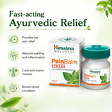 Himalaya Pain Balm Strong Mint for Headache & Muscle Relief 10g