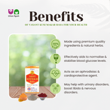 Unjha Vasant Kusumakar Rasa Tablets for Wellness (100)