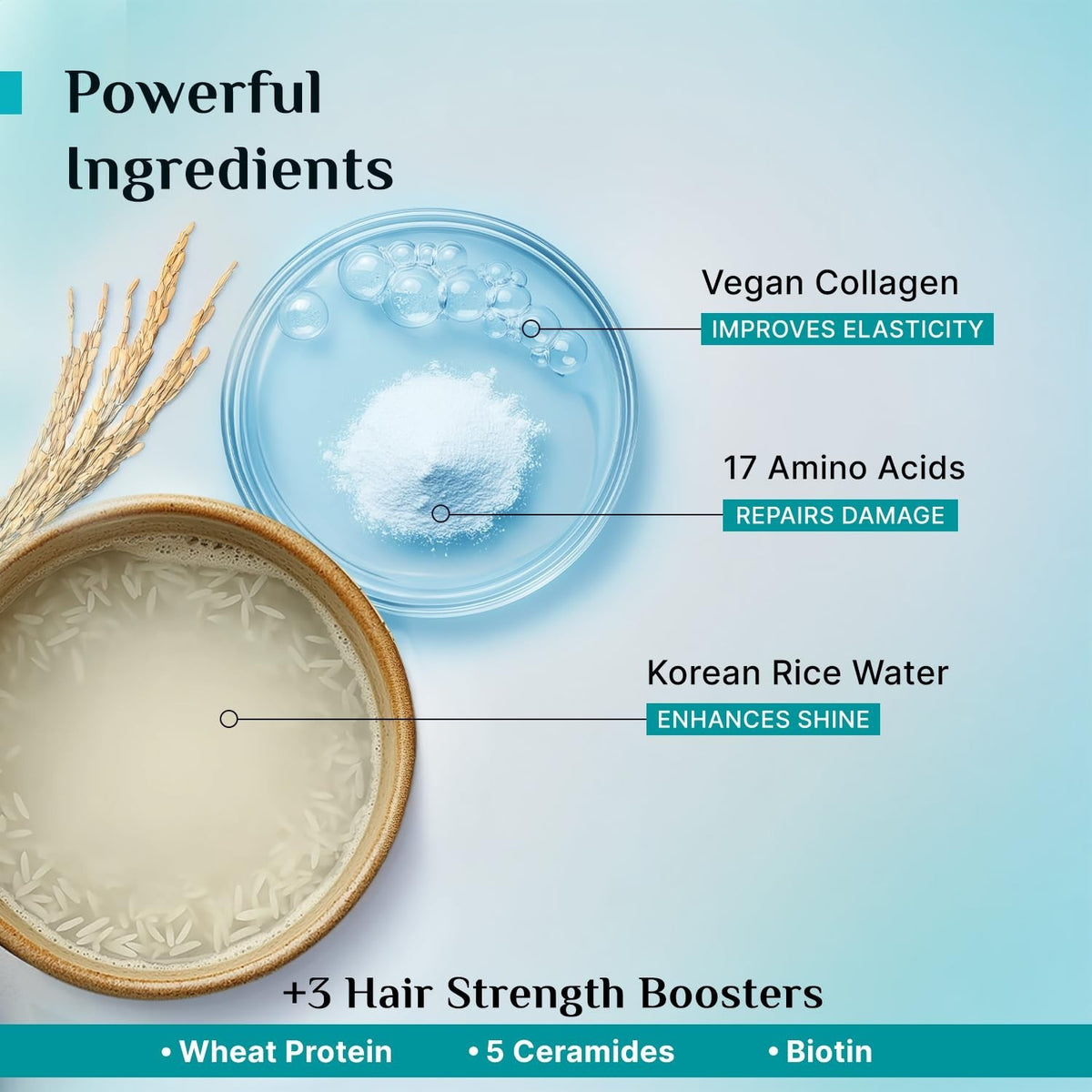 Pilgrim Korean Rice Water Collagen Conditioner 200ml Damage Repair &amp; Strengthe