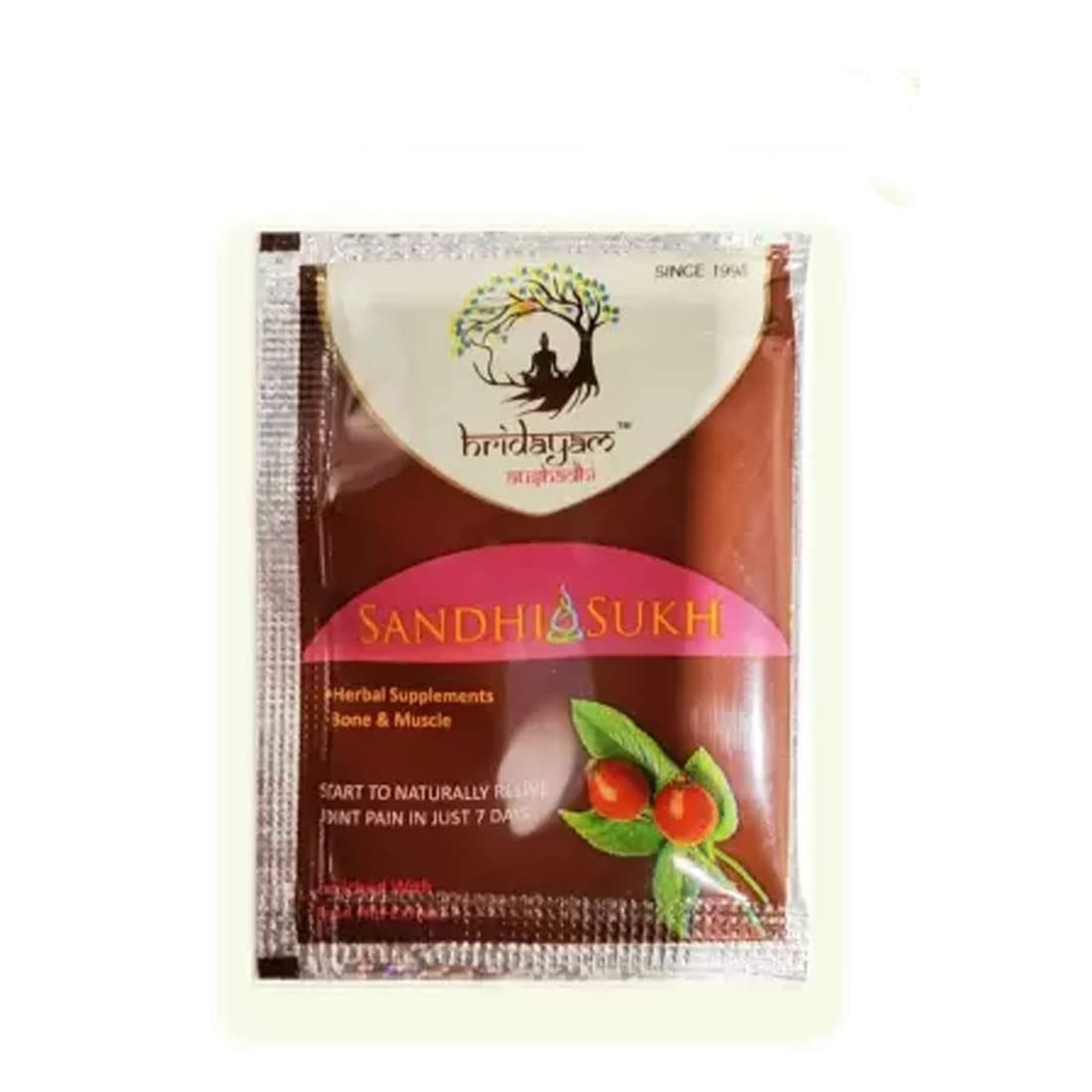 SANDHI SUKH POWDER FOR JOINT PAIN (28 POUCH)+FREE SHIPPING