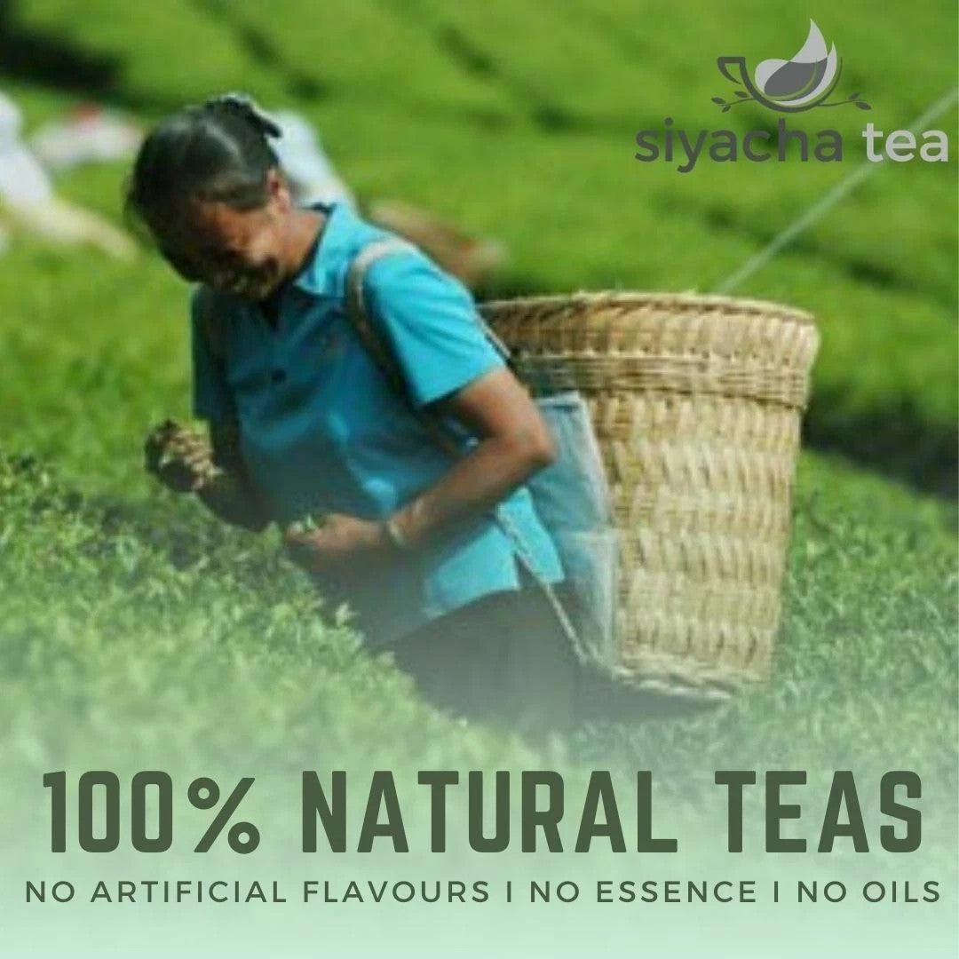 Assam Black Tea Orthodox First Flush Dikom SFTGFOP 1 Healthy Herbal Beverage New