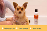 Healthy Paw Life Lime Sulfur Pet Shampoo for Skin &amp; Coat Care, 236ml