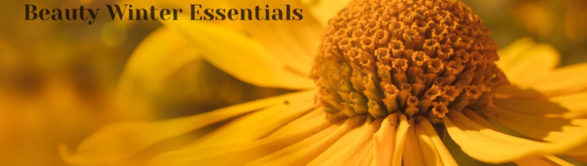 Beauty Winter Essentials